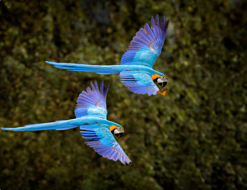 Transformamos resíduos em vida