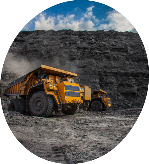 A remoção de carbono é fundamental para nosso planeta